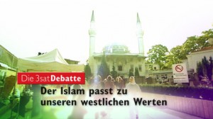 Debatte - "eine sinnvolle Alternative" im Fernsehen: Stefan Zekorn von 3sat im Gespräch