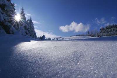 A picture WUDC participants will not encounter upon their arrival in German: Currently, the weather is untypically warm (+10°C). 