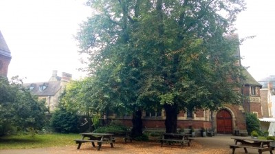 Oxford Union Baum (c) Michael Saliba